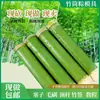 Molde Zongzi de Tubo de Bambú Fresco para Uso Manual, Adecuado para Uso Doméstico y Comercial, Puestos de Mercados Nocturnos, Hecho de Bambú Verde Puro para Arroz Pegajoso en Tubo de Bambú