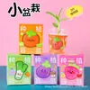 Caja Misteriosa de Plantas para Niños - Plantas en Maceta Pequeñas - Regalos y Recompensas Recomendados por Maestros para Estudiantes de Jardín de Infancia