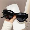 2026 Novos Óculos de Sol Femininos da Moda Olho de Gato, Óculos de Sol para Proteção Solar, Anti-UV, Fotografia de Rua, Óculos da Moda para Viagem Jt9006