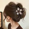 Nuevo clip de tiburón 2026 para otoño e invierno, pinza para el cabello de gran tamaño de alta gama para mujeres con cabello abundante, con diseño de lazo