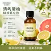 Líquido Popular para Recarga de Aromaterapia, Frasco Grande 30ML, Fragrância Duradoura, Eliminador de Odores, Para Carro, Casa, Quarto, Óleo Essencial para Difusor com Aroma de Frutas
