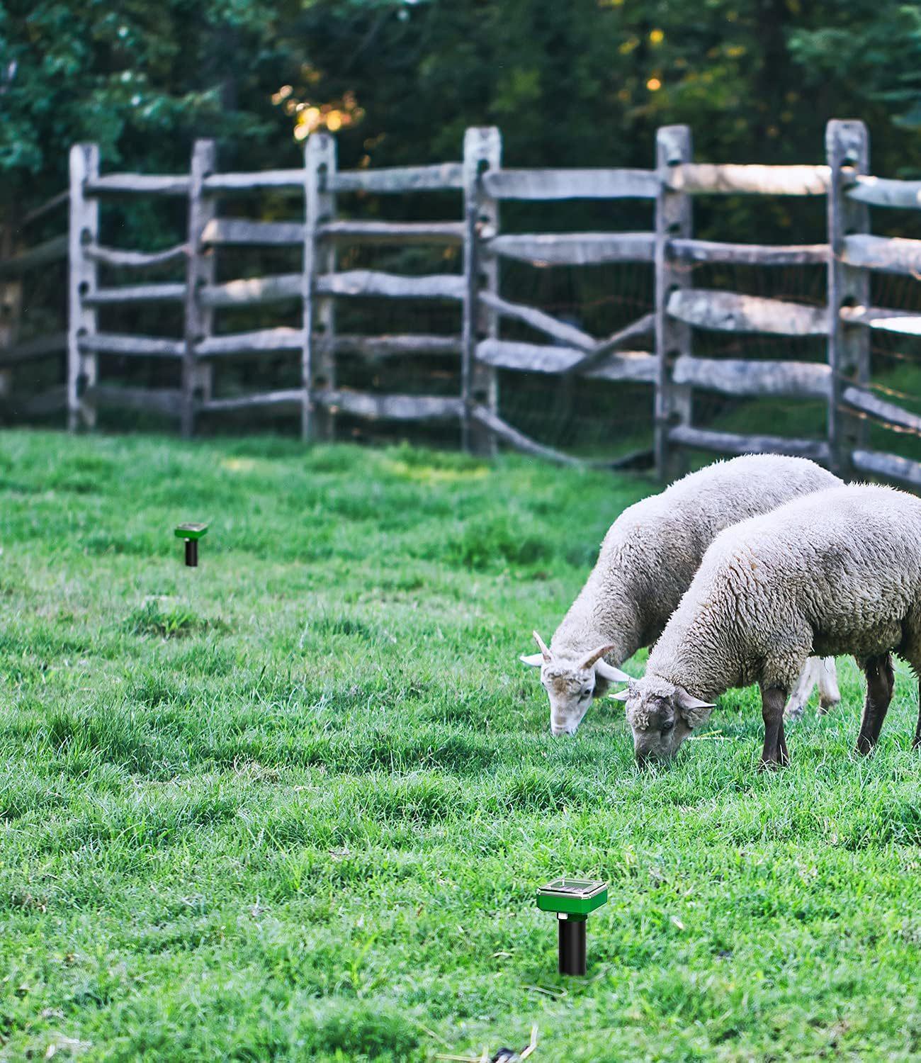 81Ur414M7xS._AC_SL1500_