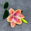 Simulado 1 Flor 1 Capullo Sensación 3D Película Lirio Boda Decoración del Hogar Diseño Transfronterizo Adornos de Flores Falsas Venta al por Mayor
