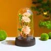 Flor de Simulación Clavel Luz Nocturna LED Luminosa Decoración de Escritorio Regalo de San Valentín Regalo del Día de la Madre Día del Niño