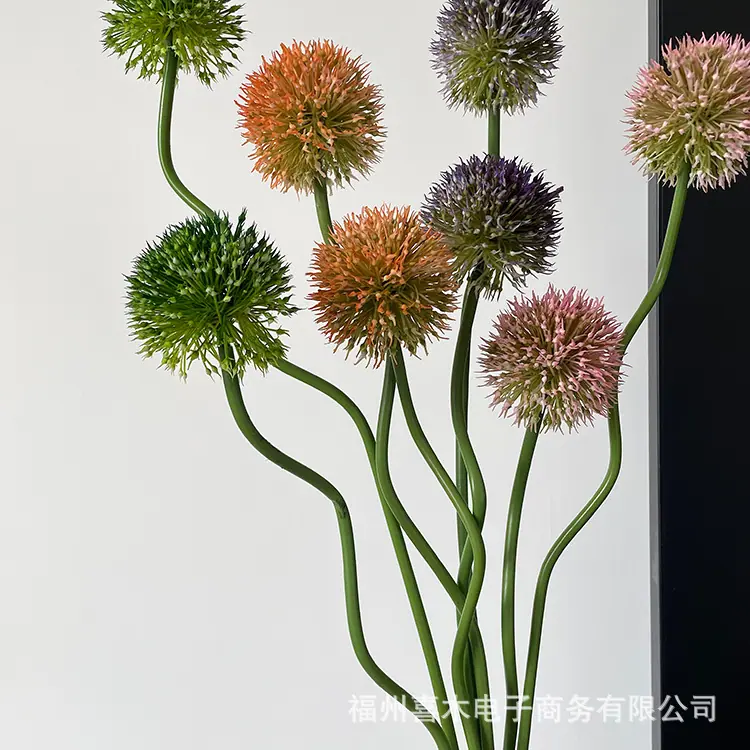 photo-output_9.JPG