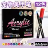 Marcador de Uñas Artísticas de Punta Suave para TikTok Transfronterizo para Pintar, Dibujar Bocetos, Dibujo a Mano Alzada, Contornear, Pluma de Arte para Uñas de Mascotas DIY, Pintura para Mascotas