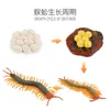 Simulación Transfronteriza Modelo de Araña Real Unicornio Insecto Juguetes para Niños Mariposa Abeja Adornos de Animales