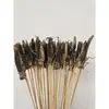 Brochetas pequeñas al por mayor para barbacoa de mercado nocturno, selección completa de brochetas calientes y frías, brochetas fritas, productos semiacabados, pollo Bobo y brochetas de cordero