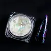 Bestseller internacional 12 peças pó de opala para nail art, pó de brocado de nuvem céu estrelado colorido, pó de espelho mágico camaleão acessórios para nail art
