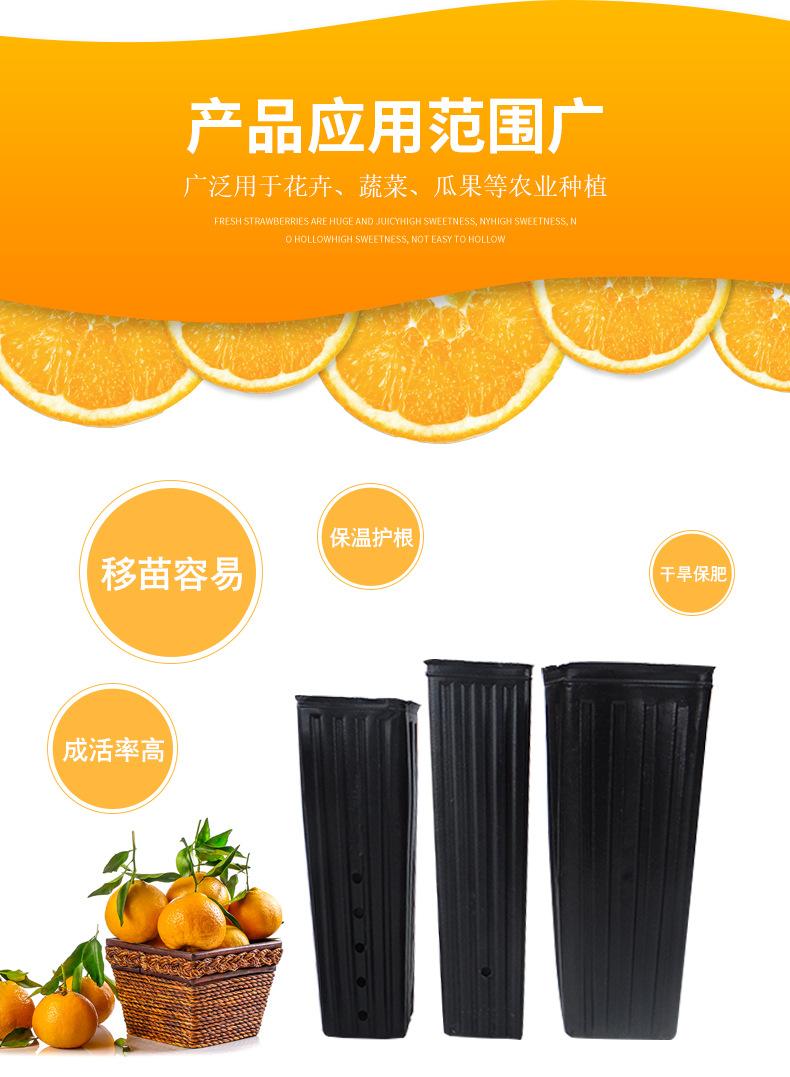 详情_06.jpg