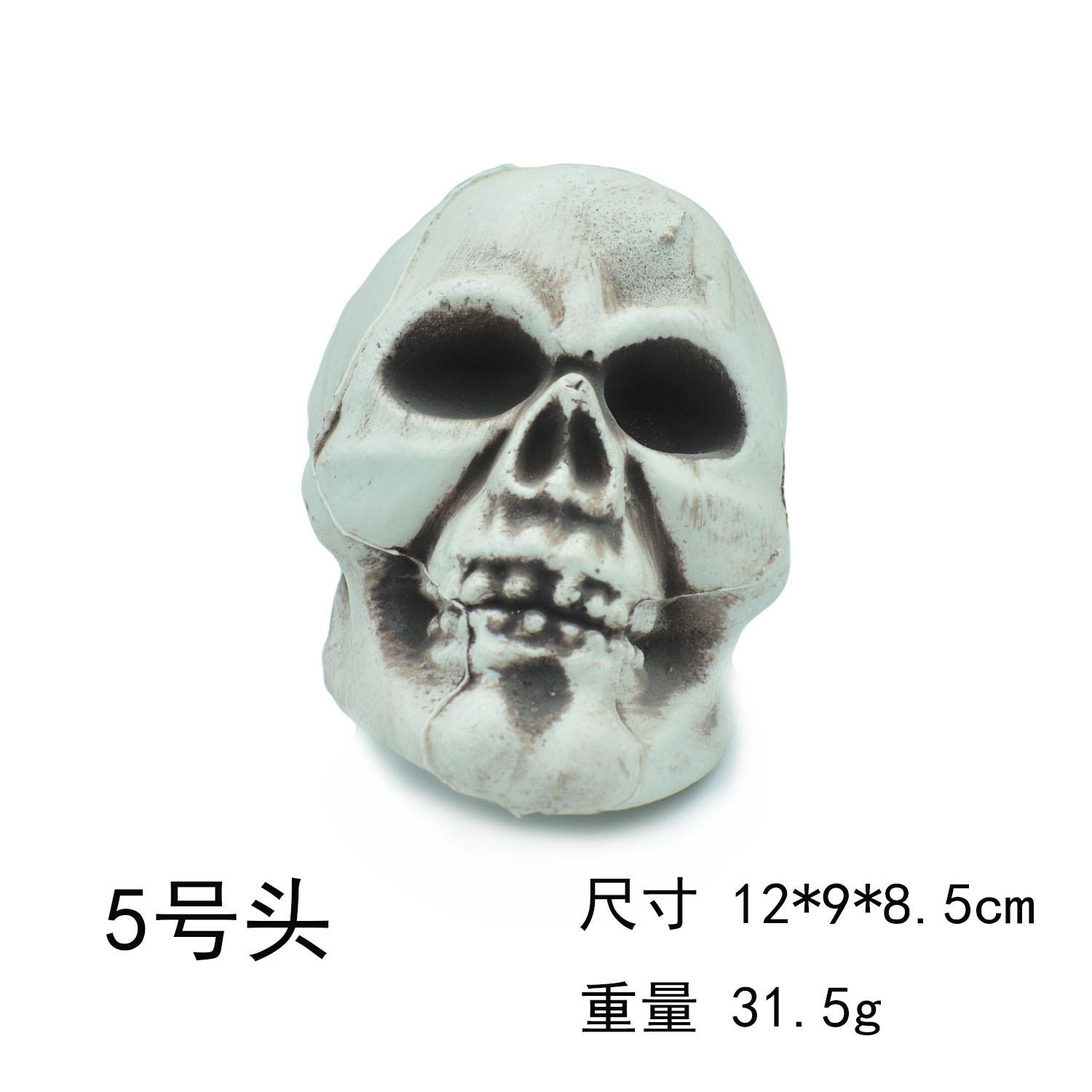 5号头白底