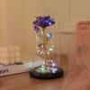 Pantalla de Cristal de Flor Eterna Rosa Flor Artificial Regalo Creativo Decoración Festival Qixi Día de San Valentín Regalo Exquisito