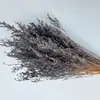 Hierba de Amor Blanqueada Flor Inmortal Hierba de Amor Blanqueada Ramo Seco Material Base Yunnan Venta Directa Ramo Pequeño Amazon