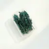 Paquete de Materiales Hechos a Mano para Bricolaje Flores Mixtas Plantas Flores Secas Piñas de Navidad Estilo Bosque para Jardín de Infancia Creación Ambiental Decoración