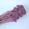 Atacado Flor de Milho Flor Seca Imortal Cor Bleached Flor Real Decoração de Casa Pacote de Material DIY Flor Imortal Transfronteiriça
