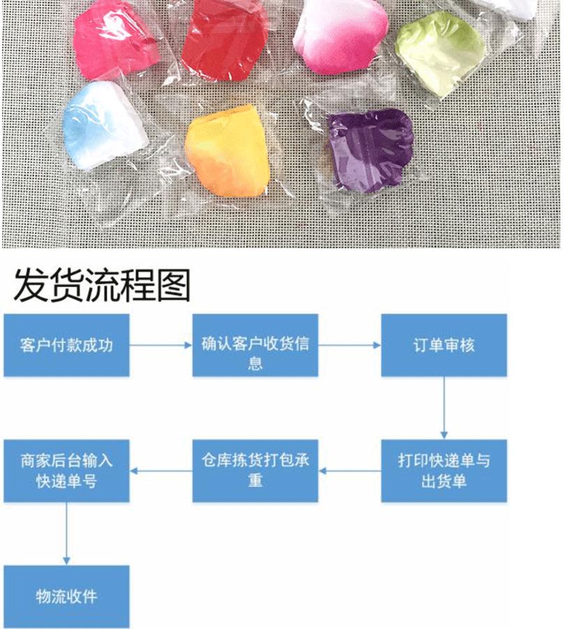 玫瑰花瓣_10