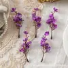 Cabeça de Flor de Gipsofila Artificial Única, Adorno de Cabeça de Garfo de Gipsofila Artificial, Decoração de Flor de Plástico, Cenário de Auditório, Decoração de Móveis