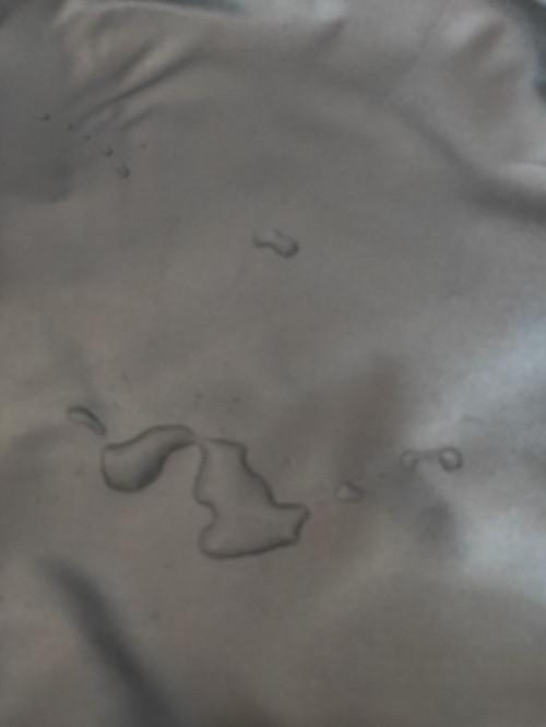 B5346D713E2FF791F4D9A9961946A6