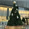 Grande arranjo de cena com luzes de Natal para árvore iluminada ao ar livre 30m Quadrado de arte em ferro decorativa grande árvore de Natal