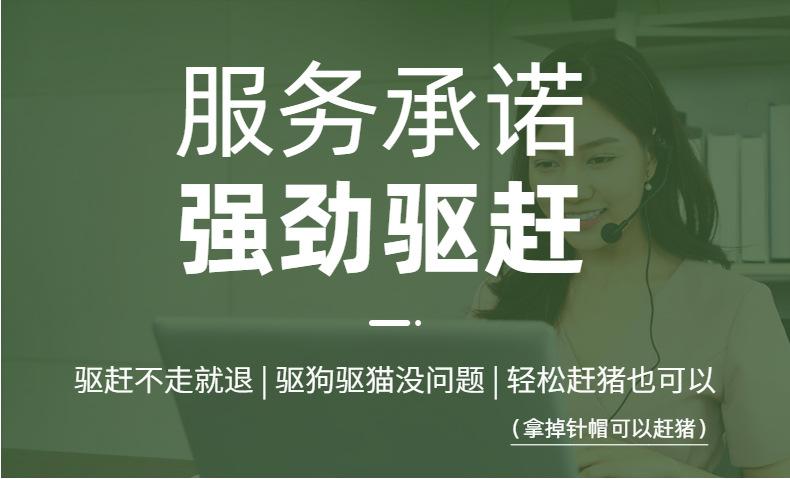 详情6