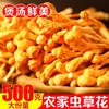 Cordyceps militaris seco seleccionado, flor de Cordyceps pura sin impurezas, adecuada para uso doméstico y comercial como ingredientes para sopa y olla caliente, disponible en stock para venta al por mayor