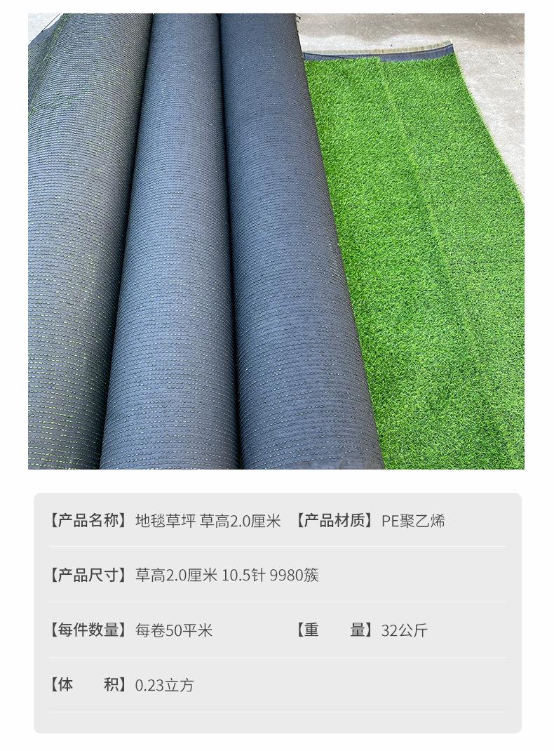 地毯草坪-草高-2.0-厘米10参数.jpg