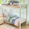Novo Modelo 2025 Conjunto de Três Peças 100% Algodão para Estudantes Conjunto de Roupa de Cama Puro Algodão para Dormitório Estudantil