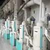 Separador de granos de arroz glutinoso suministrado directamente de fábrica