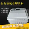 Incubadora Mini Totalmente Automática para Uso Doméstico, Incubadora Inteligente Pequena para Frango, Incubadora de Ovos com Rolo