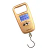 Wh-A17 Weiheng Weiheng Balança Vende Legumes e Pesa Legumes 50kg Portátil Processamento Personalizado Balança de Expresso