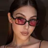 Novos óculos de sol quadrados vintage para mulheres, moda europeia e americana, estilo para o dia a dia, óculos para fotografia de rua, armações modernas e únicas