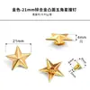 Remaches de Estrella de Cinco Puntas, Tachuelas de Estrella de Cinco Puntas Plateadas, Decoración Punk, Accesorios para Ropa y Bolsos DIY, Tachuelas de Estrella de Bronce Antiguo