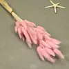 Flores Secas, Cola de Conejo, 60 Piezas/Manojo, Ramo de Lujo Ligero, Adornos de Flores Reales, Pequeño Ramo de Flores Eternas Regalo, Materiales de Flores Reales