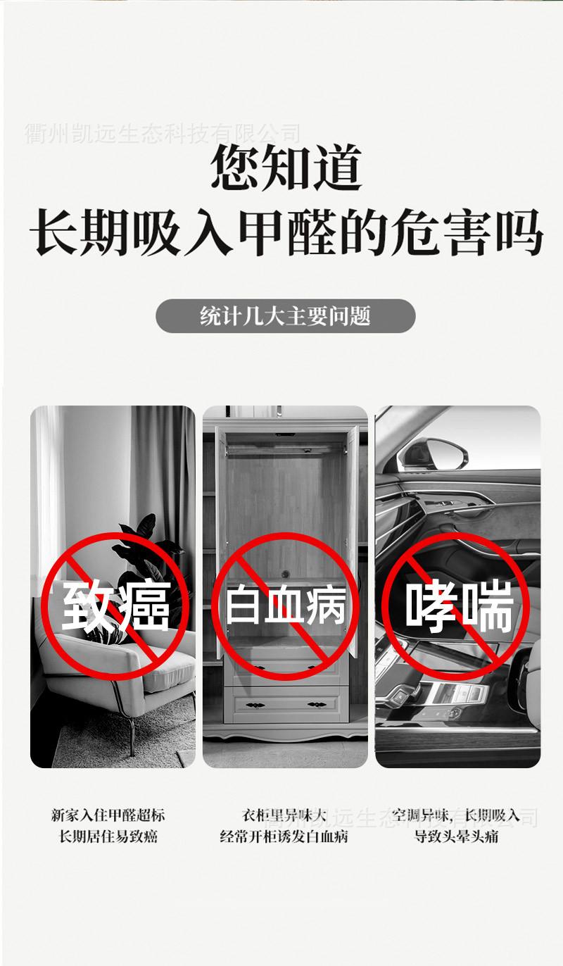 紫球大气_03.jpg