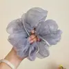 Faixa de Cabelo de Renda com Bolinhas Envolvida em Pérolas Estilo Coreano para Mulheres com Design Dentado Antiderrapante, Acessório de Cabelo Versátil e Estiloso para Lavar o Rosto