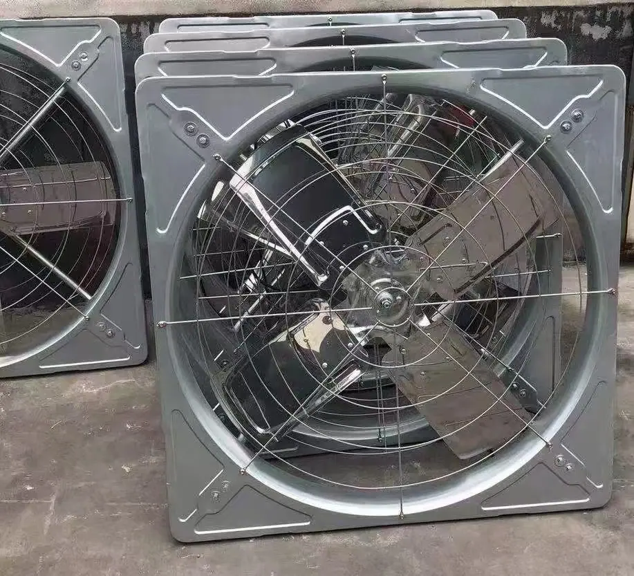 微信图片_20250524213136