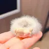 Cuerda para el pelo de peluche de cachorro de dibujos animados linda para otoño e invierno, banda de goma para el pelo, goma de pelo peluda de invierno, coleta, cabeza de peluche