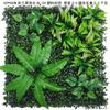 Simulação planta decoração de parede ao ar livre eucalipto simulação gramado planta verde parede falso gramado fundo imagem parede