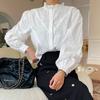 Camisa Branca Estilo Francês Outono 2026 para Mulheres, Camisa de Manga Longa, Top Elegante para o Trabalho Moda Coreana Feminina