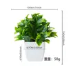 Venta caliente transfronteriza planta de simulación de escritorio planta falsa planta verde hierba de hoja de pomelo planta en maceta decorativa para interior y exterior plástico bonsái