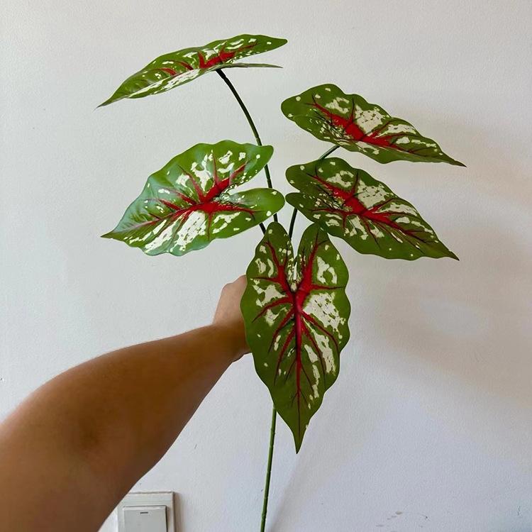 5叉3D打印芋叶-红芯绿色.jpg