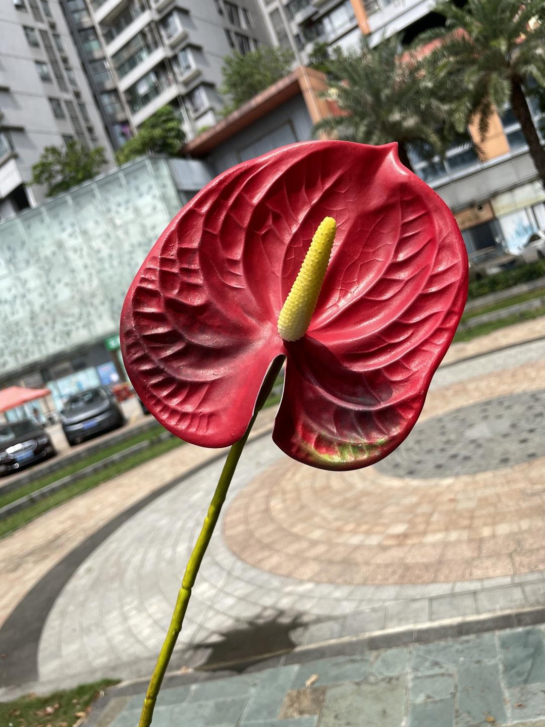 微信图片_20210730114552.jpg
