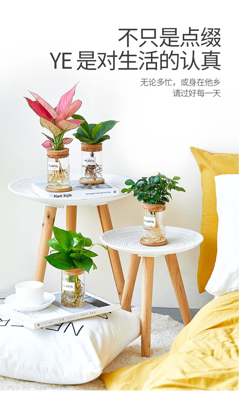 水培详情页_07.jpg