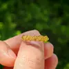 Anillo de la Suerte Chapado en Oro de Imitación de Alta Calidad Estilo Tiktok Junta de Bambú Flor Gemela Anillo de Moneda Corazón para Mujeres con Pixiu