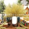 Amazon Transfronterizo Plantas Artificiales Simuladas Navidad Brillo Dorado Hojas de Aguja de Pino Árbol de Navidad Decoraciones DIY Arreglo de Corona