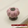 Alça Colorida de Liga de Dopamina Cerâmica Abóbora para Porta de Armário Desenho Animado Alça de Furo Único Gaveta Guarda-Roupa Alça de Porta de Armário