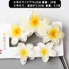 Acessórios de Cabelo Transfronteiriços Novo Clipe de Cabeça de Bola de Três Flores Europeu e Americano Clipe Colorido Transparente Fofo Clipe de Tubarão Feminino
