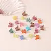 Nuevo Clip de Mariposa Pequeño Trenzado para el Cabello de Amazon Transfronterizo Clip Pinza para Flequillo de Plástico PS Mate Clip para Cola de Caballo