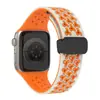 Adecuado para la serie Apple Watch Ultra9876543210, correa de silicona con hebilla magnética plegable de panal bicolor