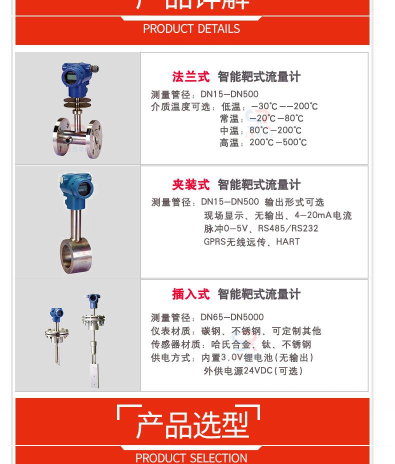 靶式流量计